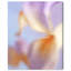 Blurred Venus Print by Oliver Gal-1698364066-1698364087