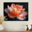 Orange orange, gris, glamour, lotus photo II - lotus, art mural-1811910266-1811910245