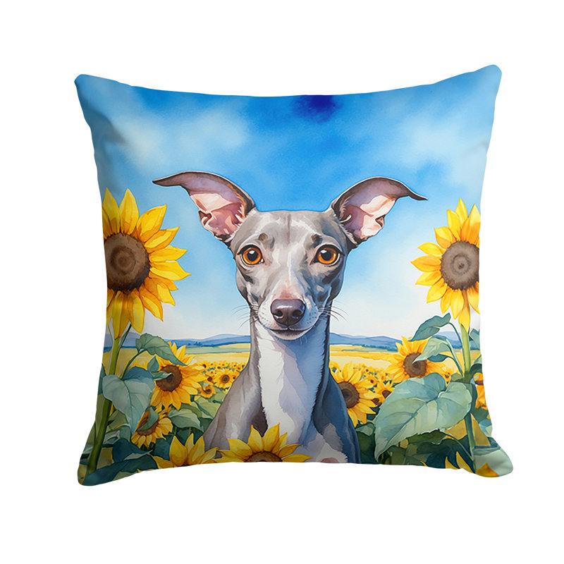 Coussin décoratif intérieur / extérieur Autre / Sans motif, H 18 po x l 18 po