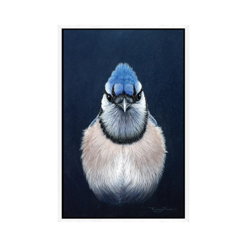 Blue Jay by Jeremy Paul - Print on Canvas, White Framed, 101.6cm H x 66.04cm W x 3.81cm D