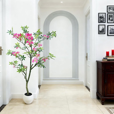 152cm Plant