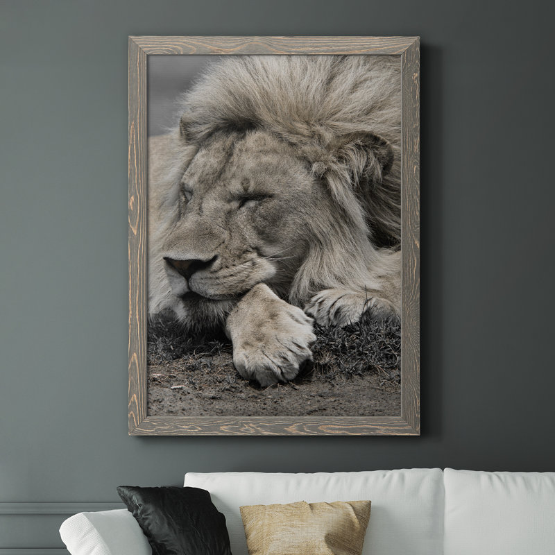 Sleepy Af après-midi au Masai Mara - Photographie de cadre photo sur toile, H 31,5 po x l 23,5 po x P 1,5 po, Encadré gris