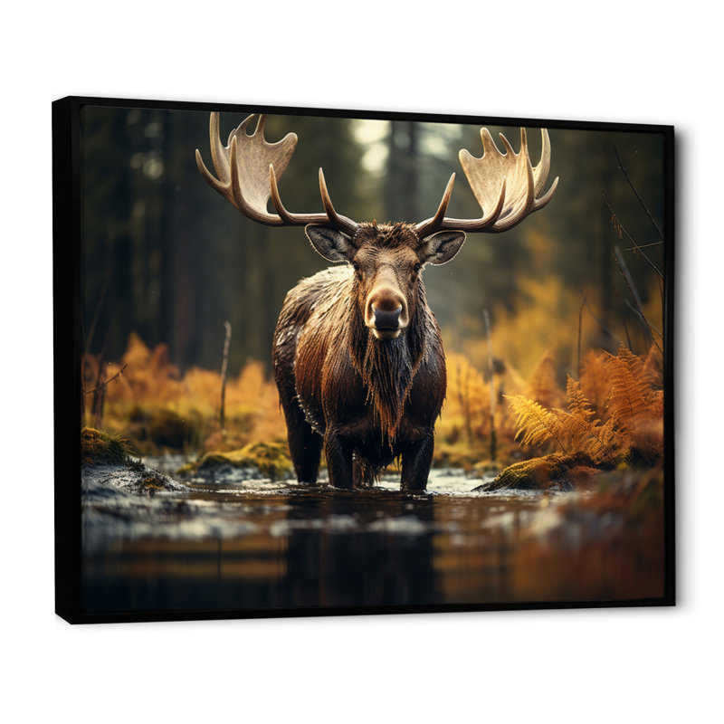 «Canada Majestic Moose III», art mural Canada large, H 30 po x l 40 po x P 1,5 po, Cadre flottant noir