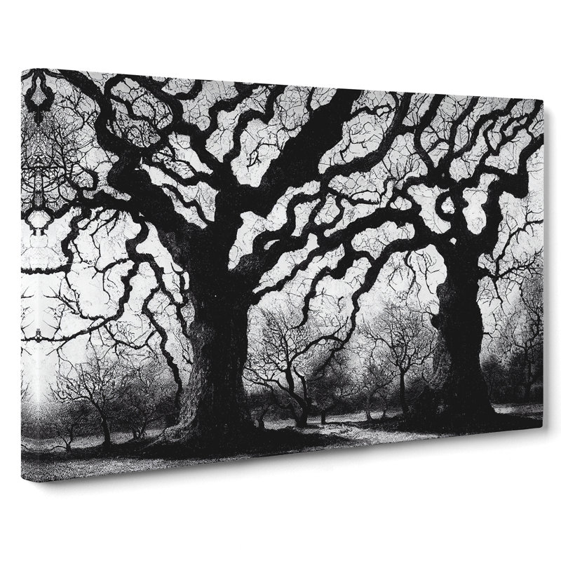 Graceful Oak Trees - Wrapped Canvas, 50cm H x 76cm W x 3cm D