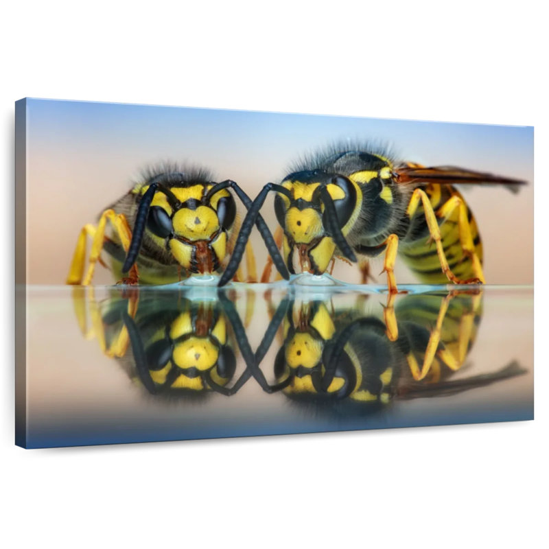 Brampt Two Wasps On Glass Table, 8" H x 12" W