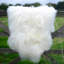 Tapis blanc / ivoire en laine à imprimé animal Huitt