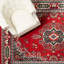 Modena Oriental Indoor Rug-1439422965