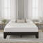 Lit Heiss-770064109-770064107
