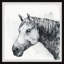 Clydesdale 1 Piece Single Picture Frame Painting-353156390