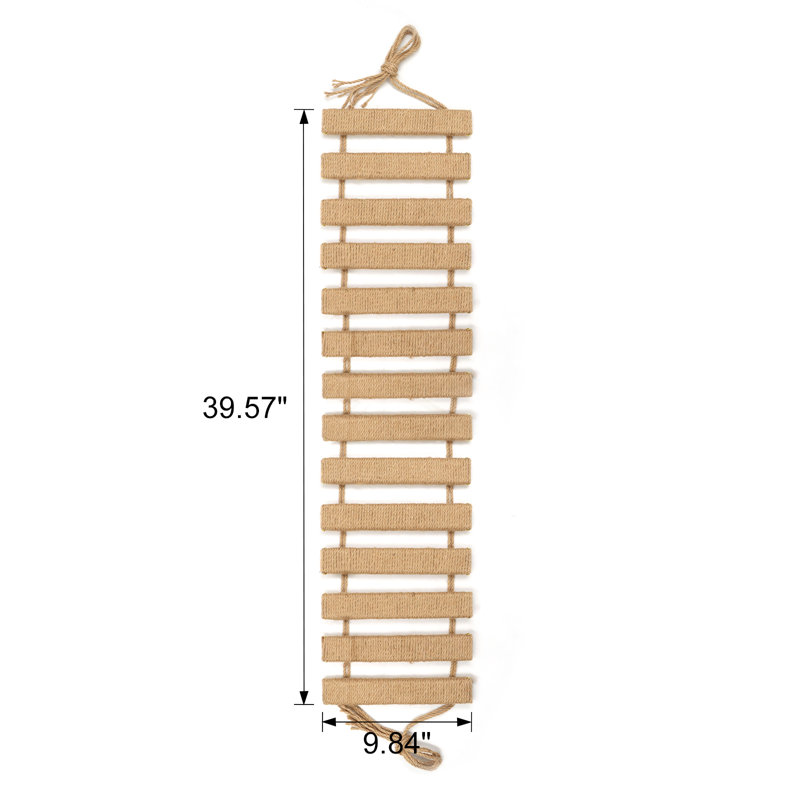 Cat Climbing Rope Ladder
