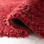 Tapis rouge Ballenas-1053303197