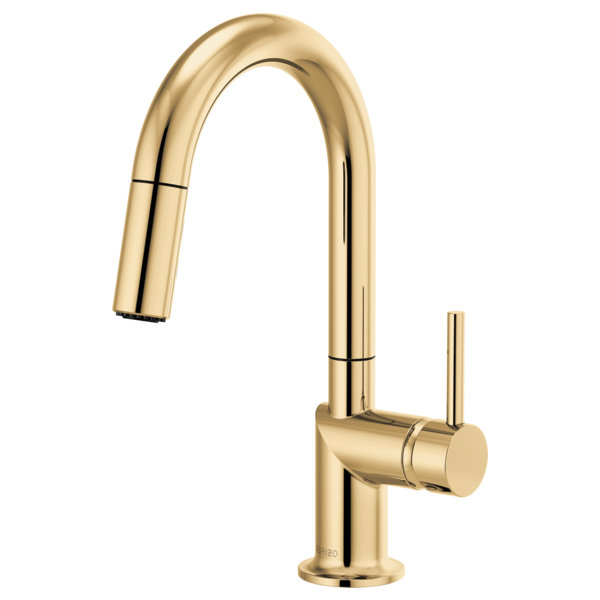 Odin® Pull-Down Prep Faucet with Arc Spout, Polished Gold, Lever
