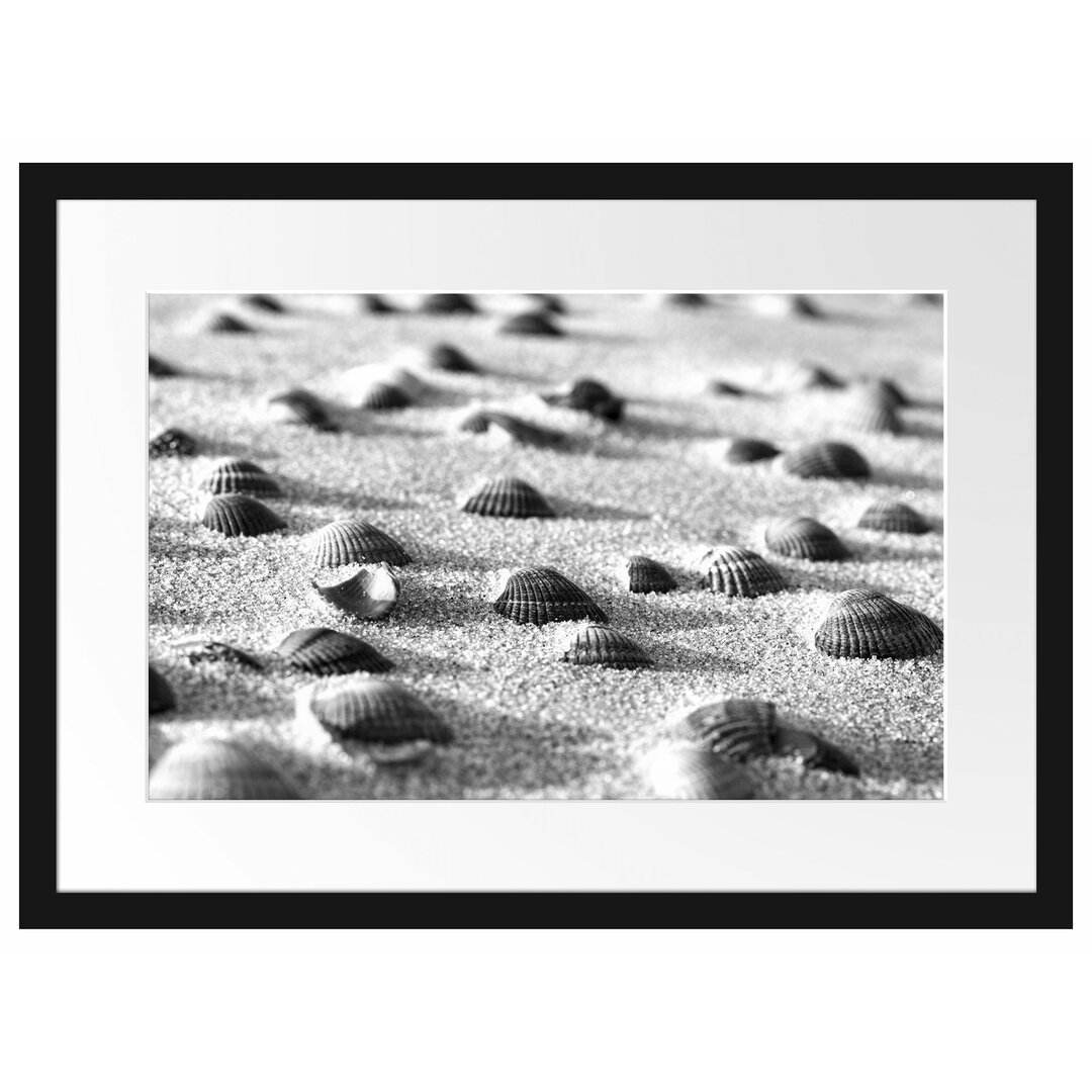 Muscheln im Sand Gerahmter Fotokunstdruck Poster