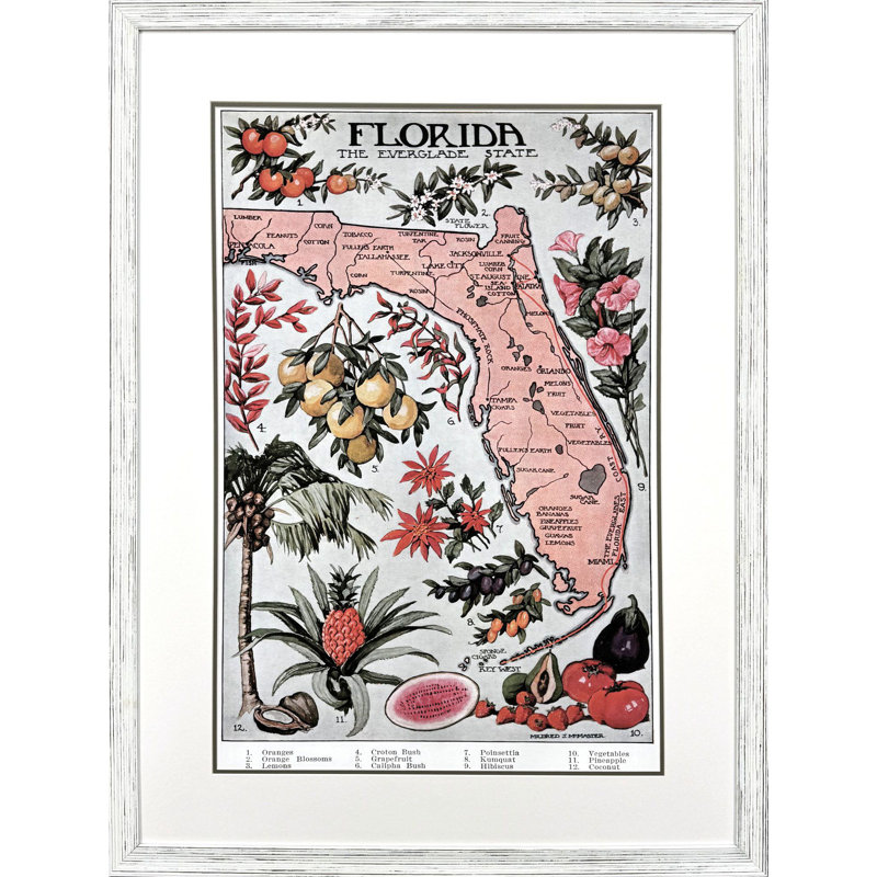 Vintage Florida Map Framed Art