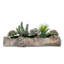 Faux Succulent Plant in Cement Log
