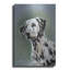 «Puppy Eyes Dalmatian» par John Silver-811645779