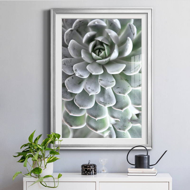 «Zen Succulent IV» par Irene Weisz - reproduction de photo sur papier encadrée, H 26,5 po x l 36,5 po x P 1,5 po