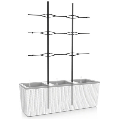 Lattice Panel Trellis