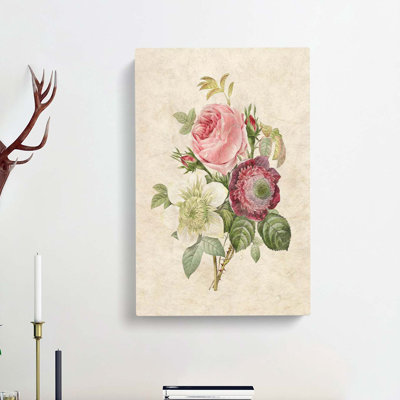 Pink Anemone Rose by Pierre-Joseph Redoute - Wrapped Canvas