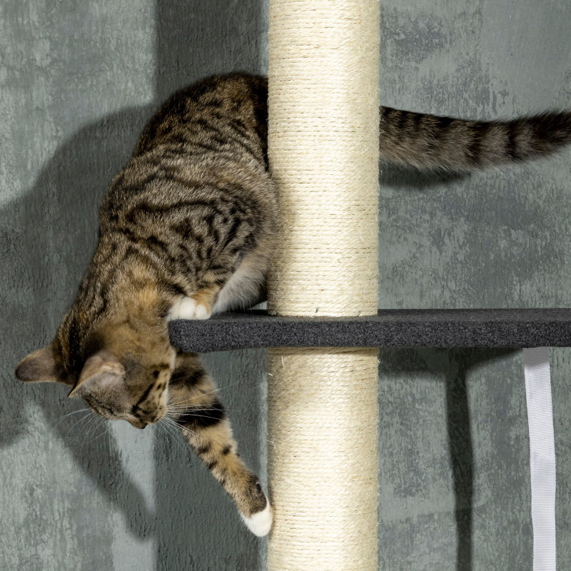 270cm H Cat Tree