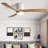 Janely 42'' Ceiling Fan with LED Lights