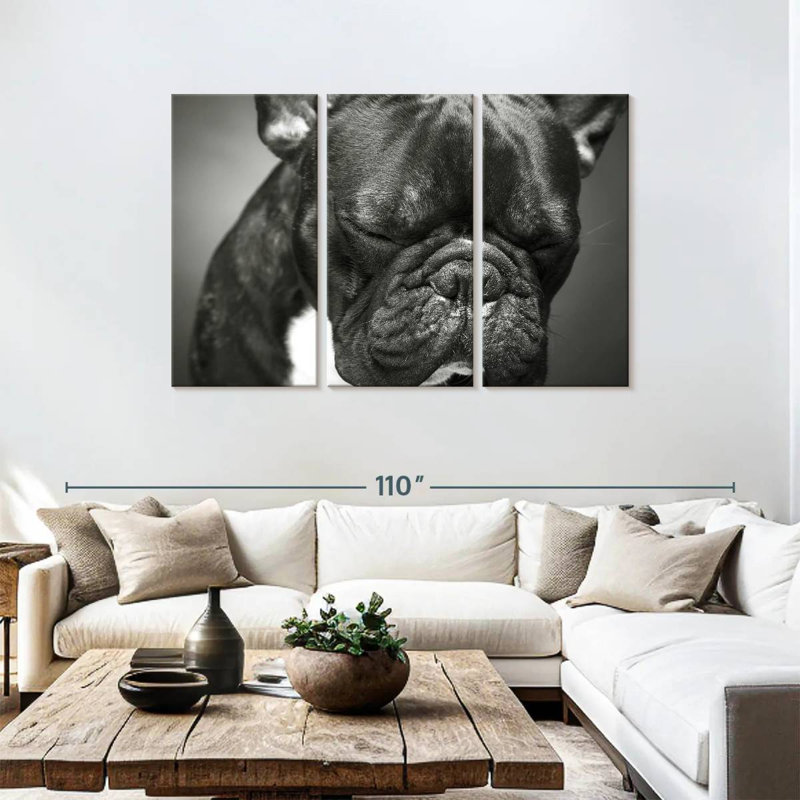 Bouledogue français mélancolique, H 48 po x l 74 po