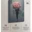 Toile de pivoine par Art Remedy-113440630-113440634-113440635