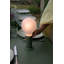 Aplo LED Outdoor Table Lamp-70508224
