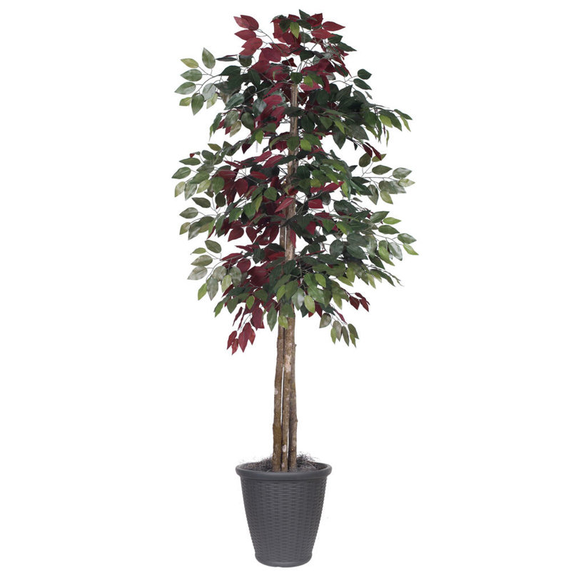 Arbre à feuillage artificiel 72 po en pot, gris