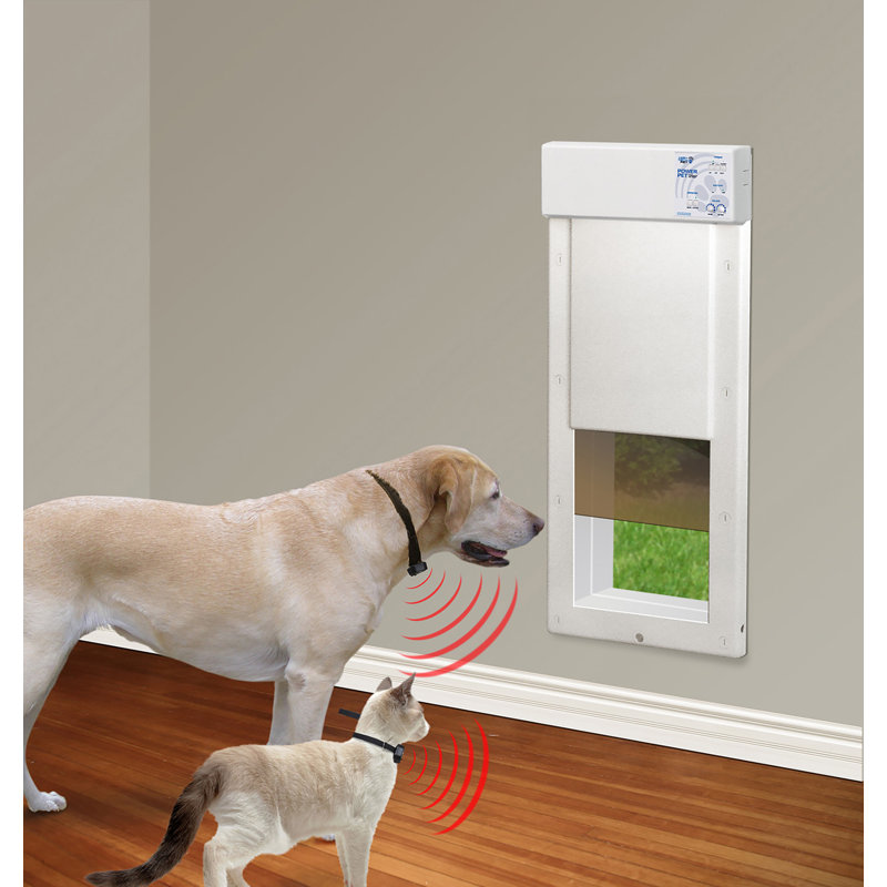 Porte murale en métal pour chien et chat