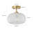 1-Adjustable Clear Glass Industrial Flush mount light