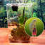 Cage de terrarium en acrylique reptile