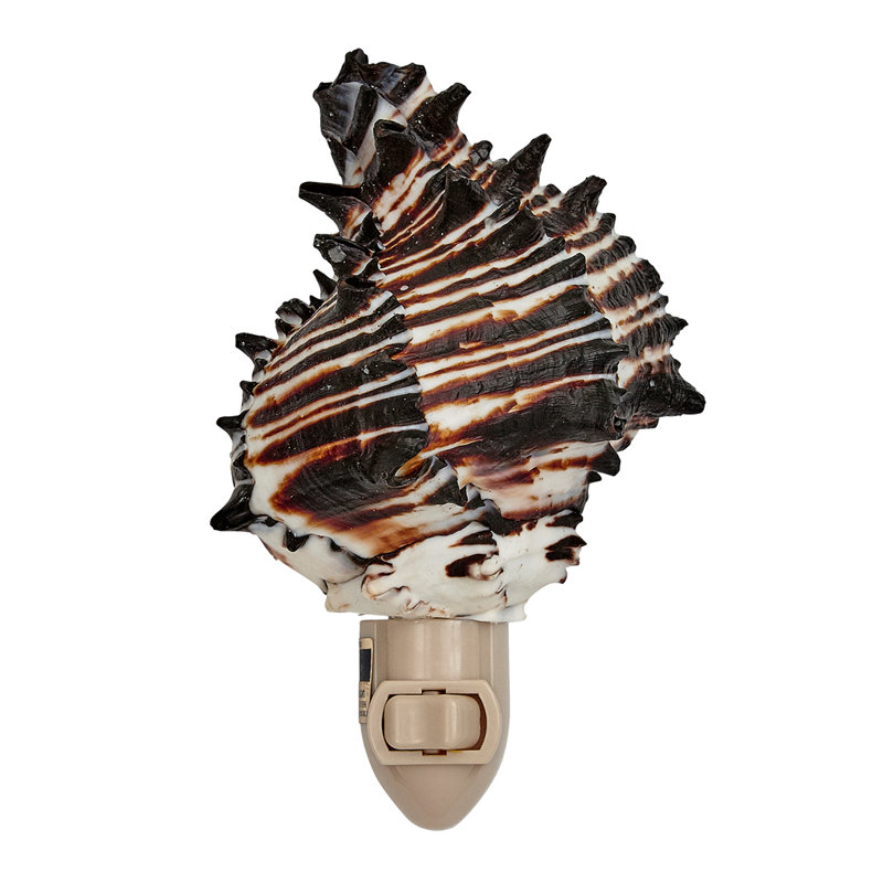 Murex Shell LED Night Light