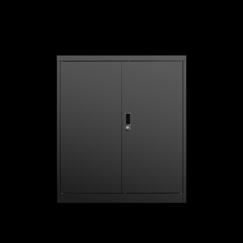 Casier de rangement, classeur, armoire de rangement avec porte et deux tablettes réglables