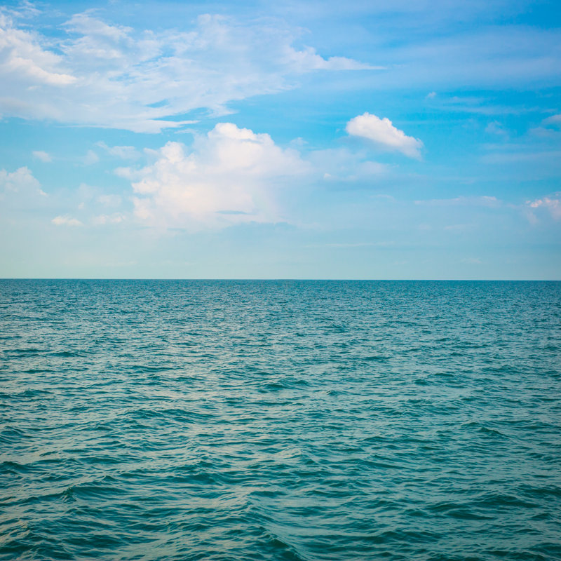 Green Sea - Wrapped Canvas Print, 122cm H x 122cm W x 3.8cm D