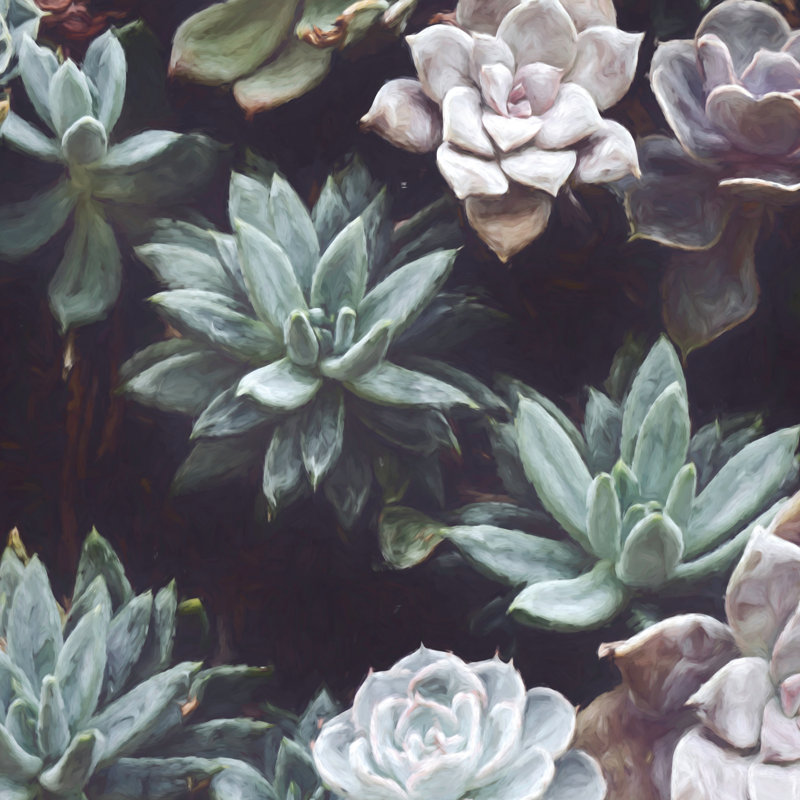 Succulent Garden - Wrapped Canvas Painting, 51cm H x 51cm W x 3.8cm D