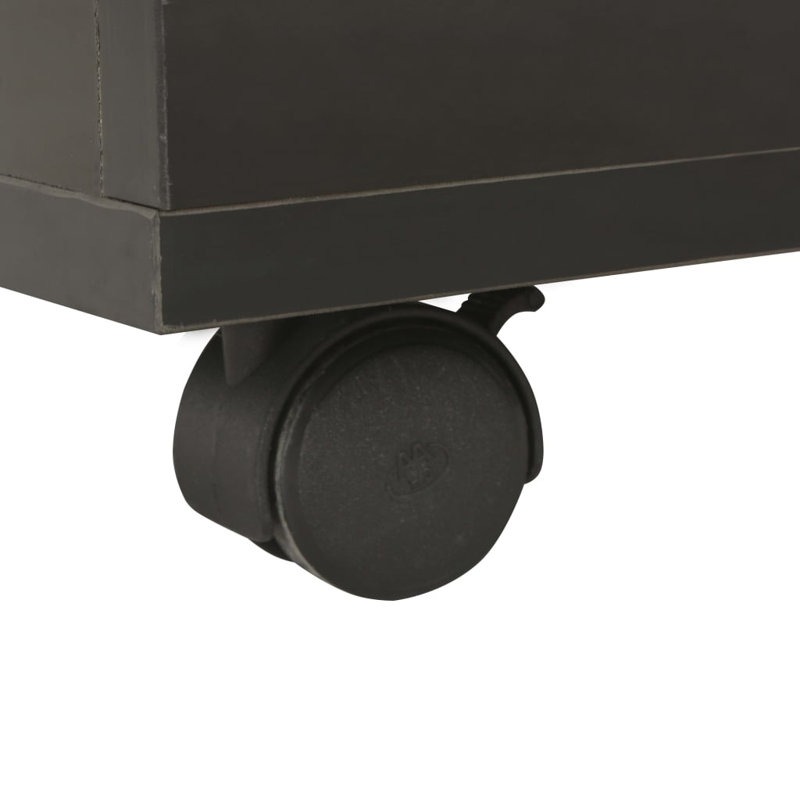 Brigetta Solid Coffee Table with Storage, Black