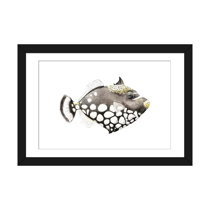« tropical matin triggerfish », impression sur toile tendue, Papier d'art encadré noir, Blanc, H 24 po x l 32 po x P 1 po