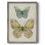 «Botanical Butterfly II», reproduction encadrée - bois massif-72253108