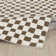 Theia Oriental Area Rug