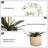 Faux Silk Orchid Arrangement In Pot