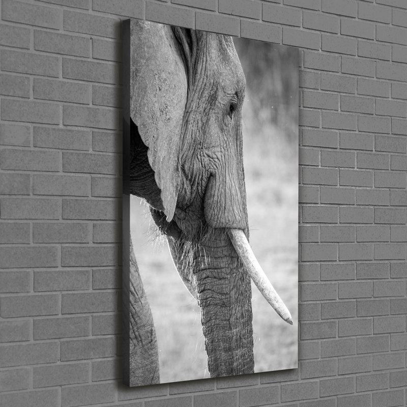 Elephant - Wrapped Canvas Print