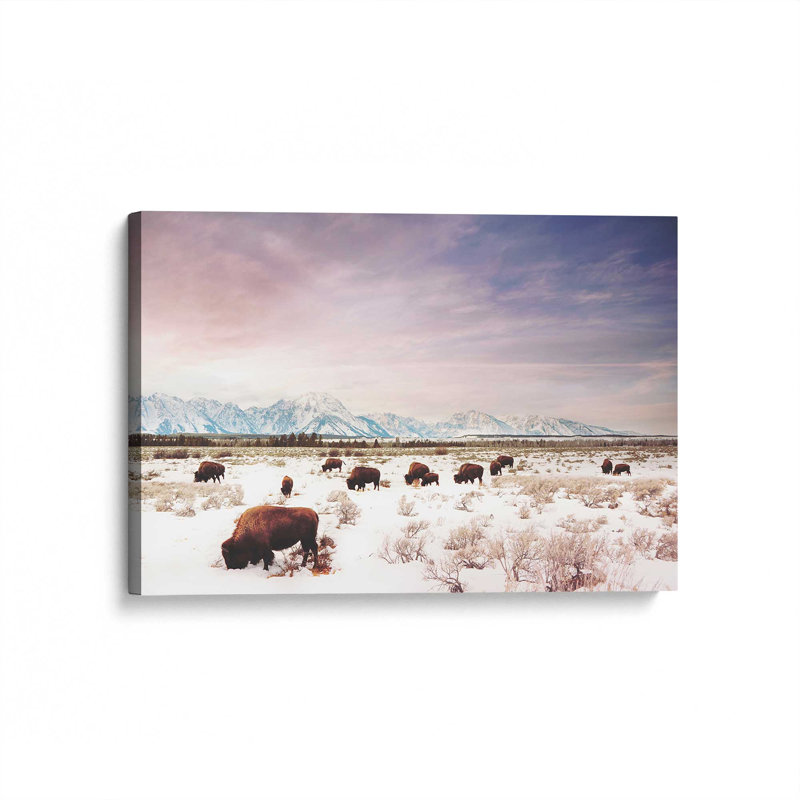 Winter Plains Bis, H 12 po x l 18 po, Toile tendue, Ne s’applique pas