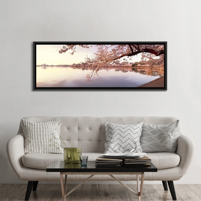 " Cherry Blossoms At The Lakeside, Washington DC, USA " by Panoramic Images