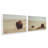 Prairie Bisons Set of 2-100965258-100965267-128161477