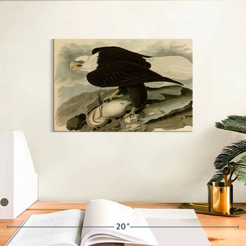 Brampt Whiteheaded Eagle, 8" H x 12" W