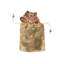 Candy Cane Bow 4 Piece Coaster Set in a Gift Bag