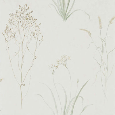 Farne Grasses Wallpaper