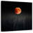 Oberle Mystical Blood Moon-109391122