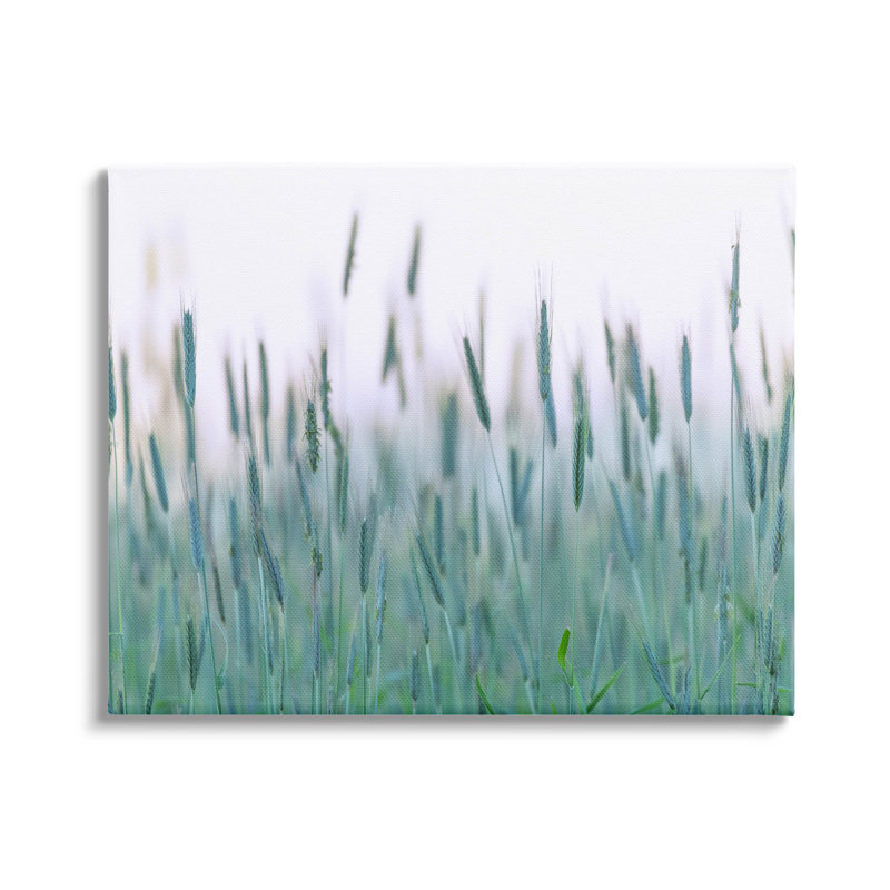 Art de giclée verte de champ de blé vert par Nancy Crowell, H 24 po x l 30 po x P 1,5 po, Giclée encadrée blanc bord de mer